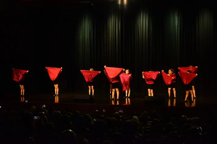Liberation Dance Show by Zirka